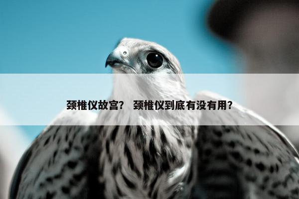 颈椎仪故宫？ 颈椎仪到底有没有用？