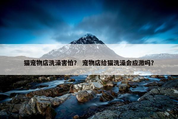 猫宠物店洗澡害怕？ 宠物店给猫洗澡会应激吗？