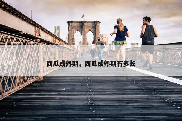 西瓜成熟期，西瓜成熟期有多长