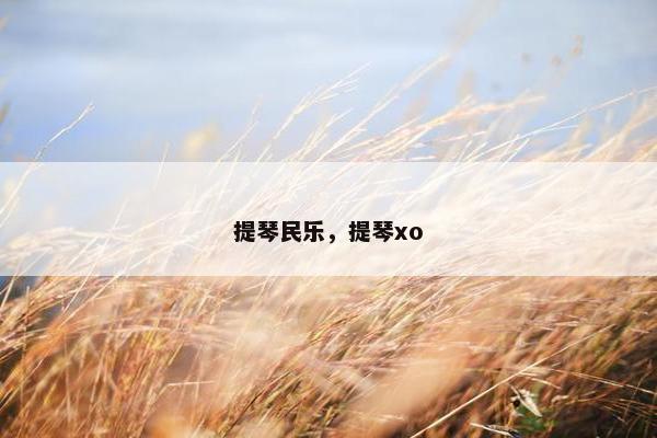 提琴民乐，提琴xo