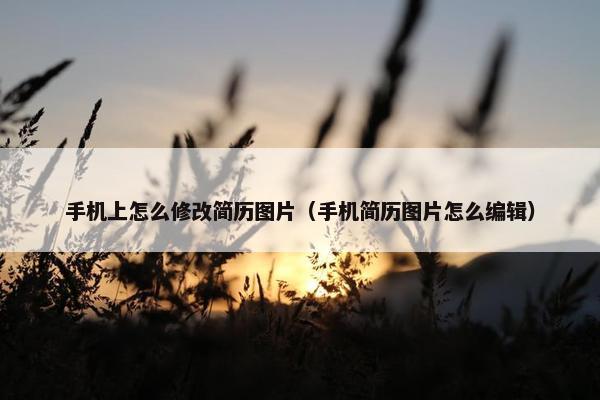 手机上怎么修改简历图片（手机简历图片怎么编辑）