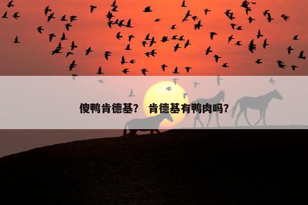 傻鸭肯德基？ 肯德基有鸭肉吗？
