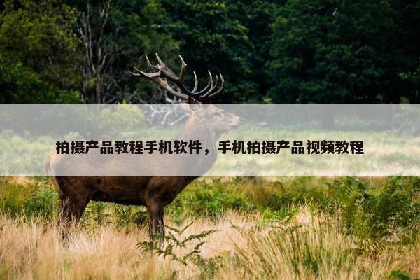 拍摄产品教程手机软件，手机拍摄产品视频教程