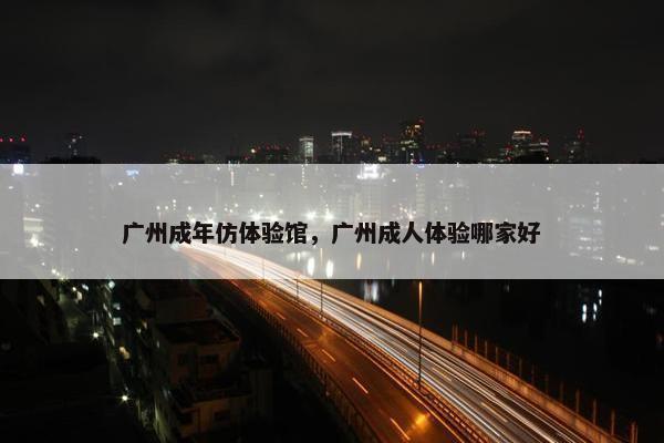 广州成年仿体验馆，广州成人体验哪家好