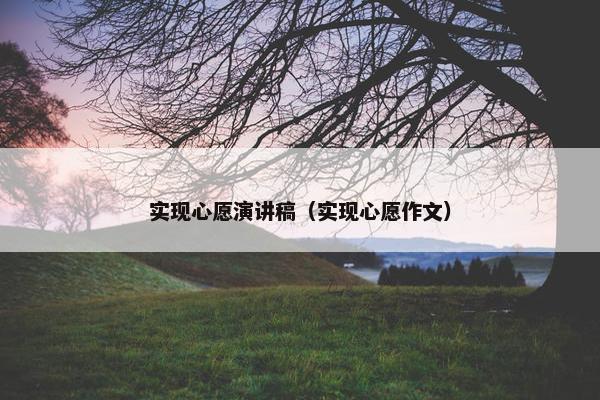 实现心愿演讲稿（实现心愿作文）