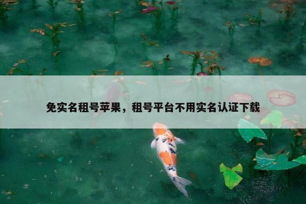免实名租号苹果，租号平台不用实名认证下载