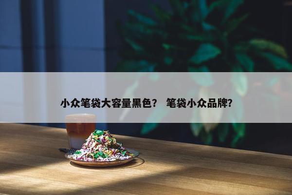小众笔袋大容量黑色？ 笔袋小众品牌？
