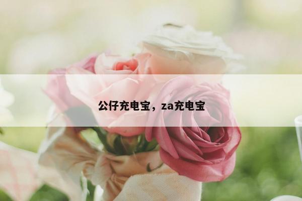 公仔充电宝，za充电宝