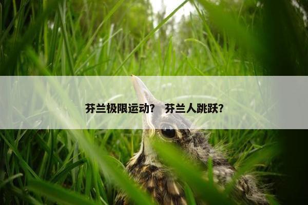 芬兰极限运动？ 芬兰人跳跃？