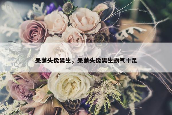 呆萌头像男生，呆萌头像男生霸气十足