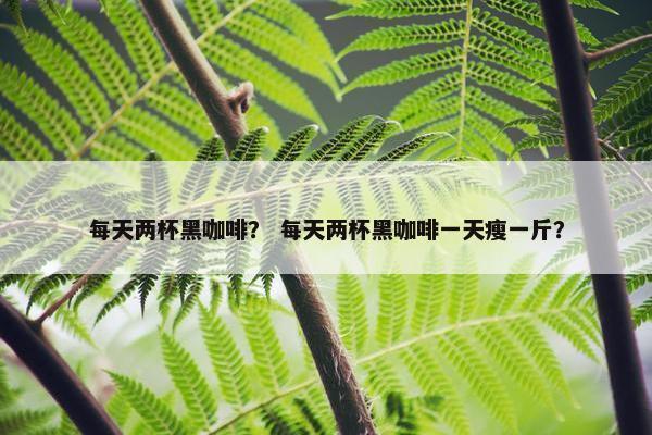 每天两杯黑咖啡？ 每天两杯黑咖啡一天瘦一斤？