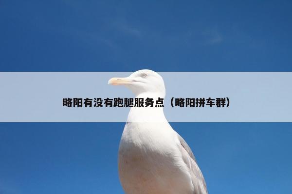 略阳有没有跑腿服务点（略阳拼车群）