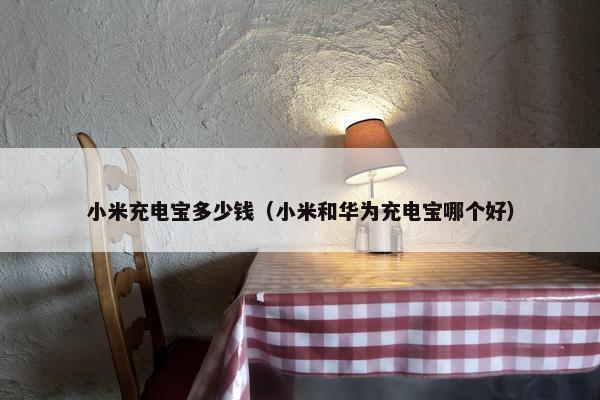 小米充电宝多少钱（小米和华为充电宝哪个好）