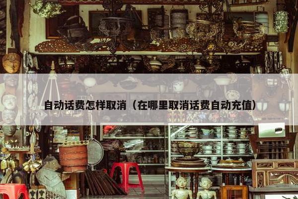 自动话费怎样取消（在哪里取消话费自动充值）