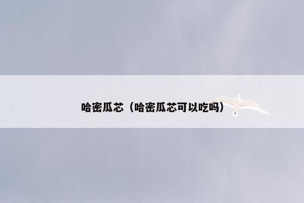 哈密瓜芯（哈密瓜芯可以吃吗）