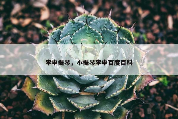 李申提琴，小提琴李申百度百科