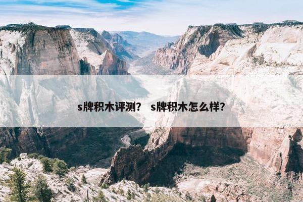 s牌积木评测？ s牌积木怎么样？