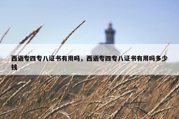 西语专四专八证书有用吗，西语专四专八证书有用吗多少钱