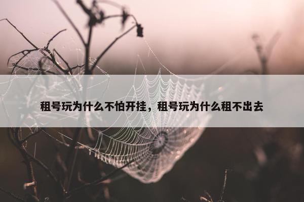 租号玩为什么不怕开挂，租号玩为什么租不出去