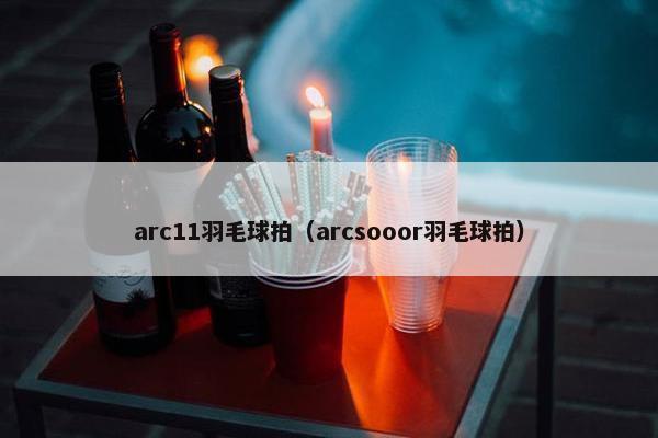 arc11羽毛球拍（arcsooor羽毛球拍）
