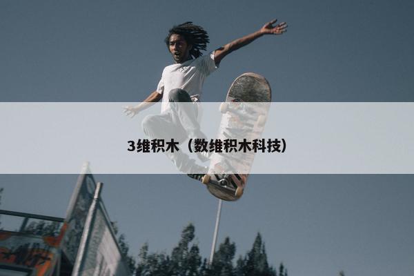 3维积木（数维积木科技）