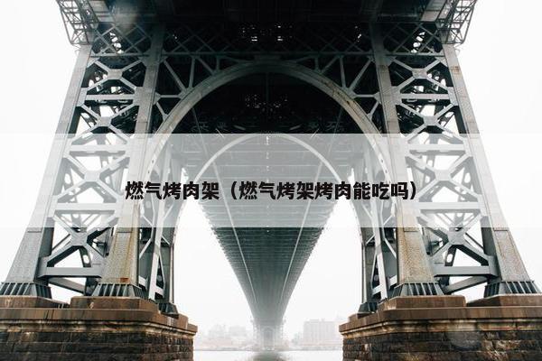 燃气烤肉架（燃气烤架烤肉能吃吗）