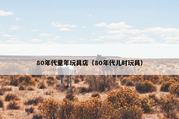 80年代童年玩具店（80年代儿时玩具）