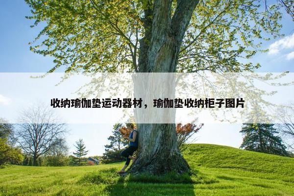 收纳瑜伽垫运动器材，瑜伽垫收纳柜子图片