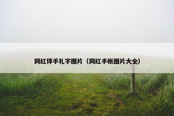 网红伴手礼字图片（网红手帐图片大全）
