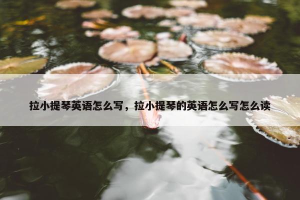 拉小提琴英语怎么写，拉小提琴的英语怎么写怎么读