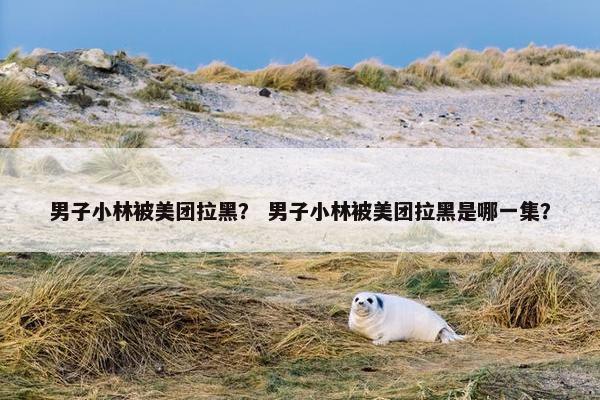 男子小林被美团拉黑？ 男子小林被美团拉黑是哪一集？