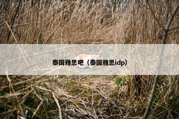 泰国雅思吧（泰国雅思idp）