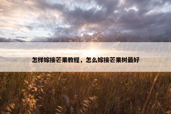 怎样嫁接芒果教程，怎么嫁接芒果树最好