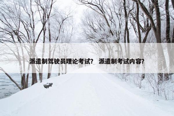 派遣制驾驶员理论考试？ 派遣制考试内容？