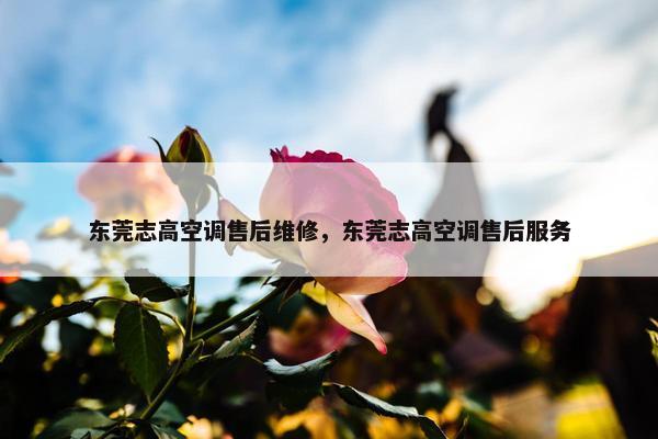 东莞志高空调售后维修，东莞志高空调售后服务