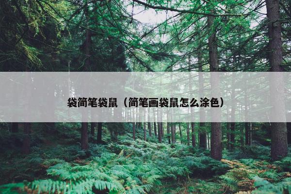 袋简笔袋鼠（简笔画袋鼠怎么涂色）