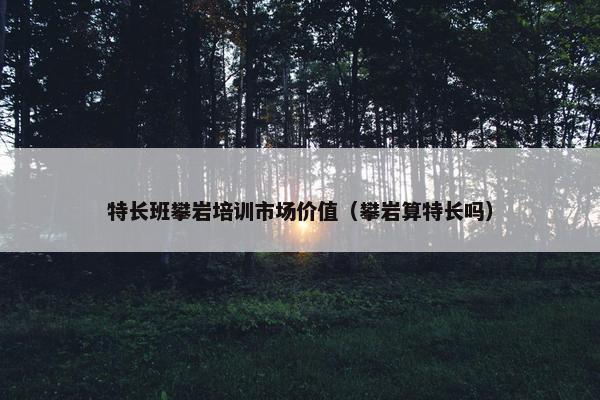 特长班攀岩培训市场价值（攀岩算特长吗）