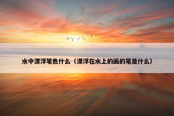 水中漂浮笔色什么（漂浮在水上的画的笔是什么）