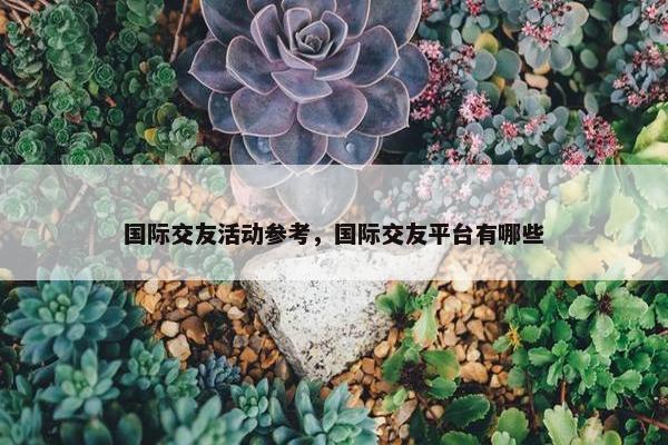 国际交友活动参考，国际交友平台有哪些