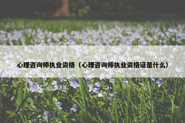 心理咨询师执业资格（心理咨询师执业资格证是什么）