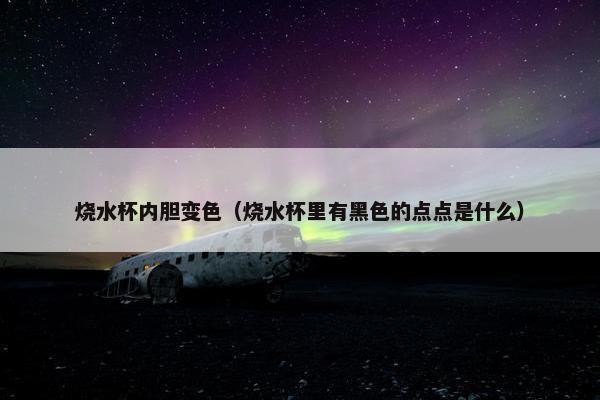 烧水杯内胆变色（烧水杯里有黑色的点点是什么）
