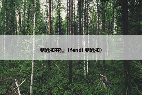 钥匙扣芬迪（fendi 钥匙扣）