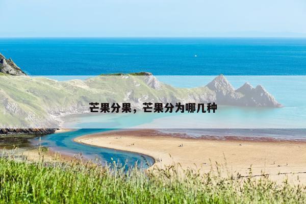 芒果分果，芒果分为哪几种