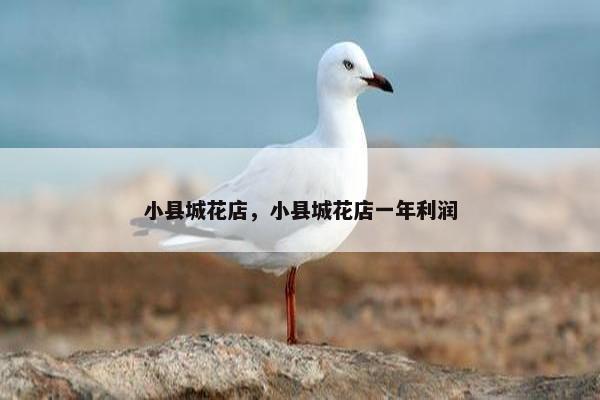 小县城花店，小县城花店一年利润