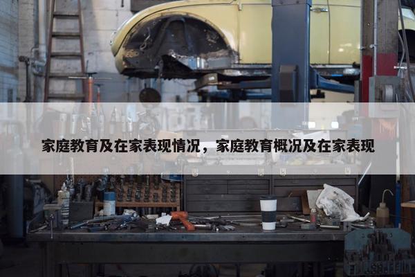家庭教育及在家表现情况，家庭教育概况及在家表现