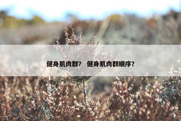 健身肌肉群？ 健身肌肉群顺序？