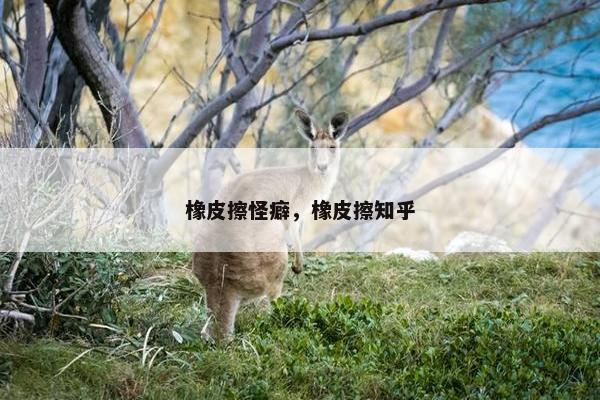 橡皮擦怪癖，橡皮擦知乎