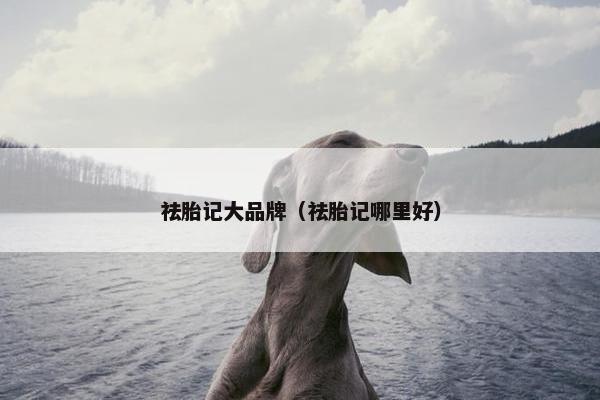祛胎记大品牌（祛胎记哪里好）