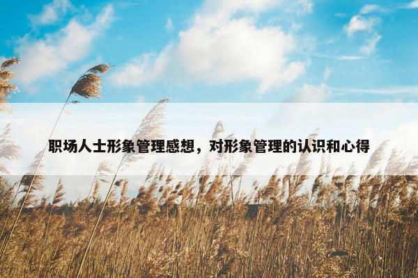 职场人士形象管理感想，对形象管理的认识和心得
