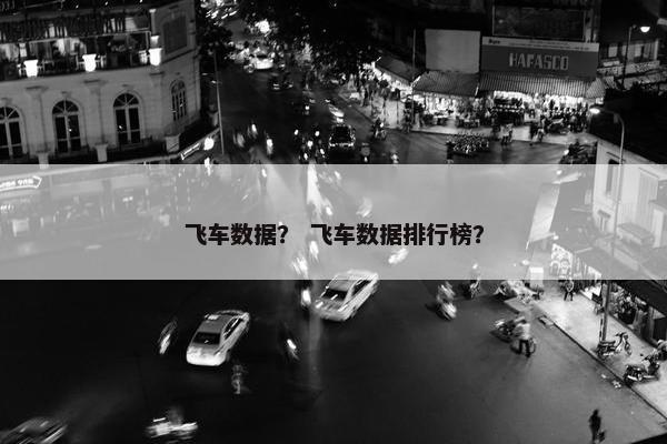 飞车数据？ 飞车数据排行榜？